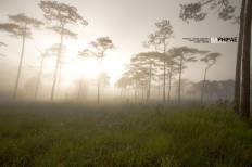 Phu Soi Dao National Park