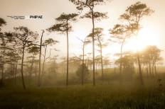 Phu Soi Dao National Park