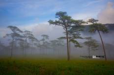 Phu Soi Dao National Park