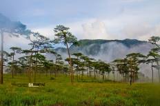 Phu Soi Dao National Park