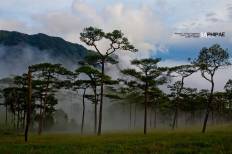 Phu Soi Dao National Park