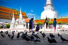 วัดพระมหาธาตุวรมหาวิหาร