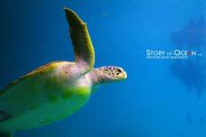 สถานแสดงพันธุ์สัตว์น้ำระยอง