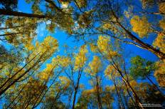 Doi Ang Khang National Park