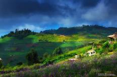 Doi Ang Khang National Park