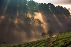 Doi Ang Khang National Park