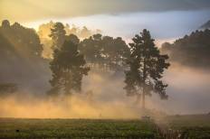 Doi Ang Khang National Park