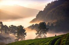 Doi Ang Khang National Park
