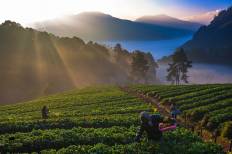 Doi Ang Khang National Park