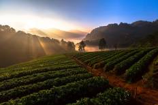 Doi Ang Khang National Park