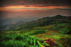 ภูทับเบิก