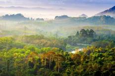 อุทยานแห่งชาติเขาสก
