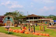 The Scenery Resort