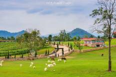 The Scenery Resort