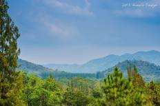 The Scenery Resort