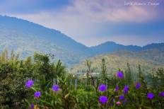 The Scenery Resort
