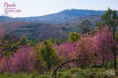 Phu Lom Lo