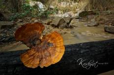 Phra Sadet Waterfall