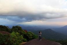 เขตรักษาพันธุ์สัตว์ป่าเขาสอยดาว
