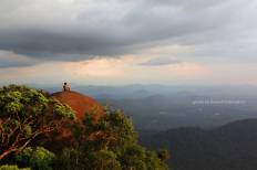 เขตรักษาพันธุ์สัตว์ป่าเขาสอยดาว