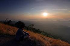 เขตรักษาพันธุ์สัตว์ป่าเขาสอยดาว