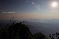 เขตรักษาพันธุ์สัตว์ป่าเขาสอยดาว