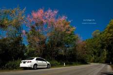 Doi Ang Khang National Park