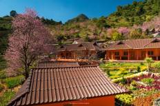 Doi Ang Khang National Park