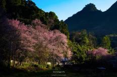Doi Ang Khang National Park
