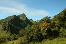 สถานีวิจัยเกษตรที่สูงป่าเกี๊ยะดอยหลวงเชียงดาว