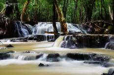 อุทยานแห่งชาติน้ำตกสี่ขีด