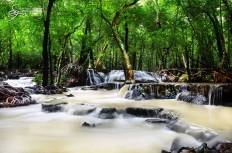 อุทยานแห่งชาติน้ำตกสี่ขีด