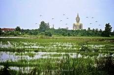 Wat Muang