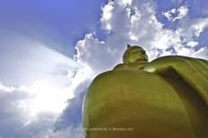 Wat Muang