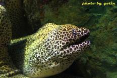 Siam Ocean World