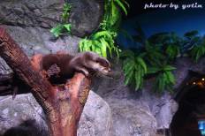 Siam Ocean World
