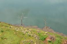 Khun Dan Prakan Chon Dam