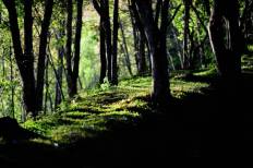 Huai Nam Dang National Park
