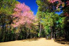 Huai Nam Dang National Park