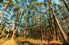 Doi Inthanon National Park