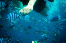 Koh Chang National Park