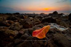 หาดหินงาม