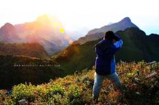 สถานีวิจัยเกษตรที่สูงป่าเกี๊ยะดอยหลวงเชียงดาว