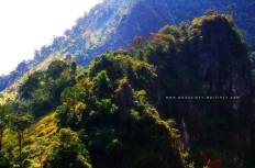 สถานีวิจัยเกษตรที่สูงป่าเกี๊ยะดอยหลวงเชียงดาว