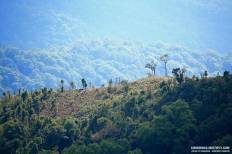 Doi Inthanon National Park