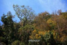 Doi Inthanon National Park