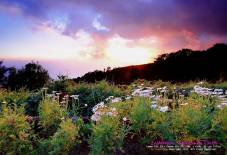 Doi Inthanon National Park