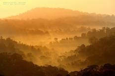 อุทยานแห่งชาติน้ำหนาว