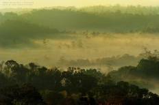 อุทยานแห่งชาติน้ำหนาว