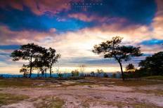 Phu Kradueng National Park